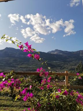 DOLCE DORMIRE - Housity