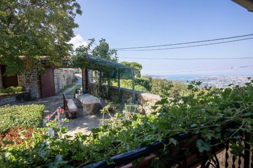 Violet's Place - Housity
