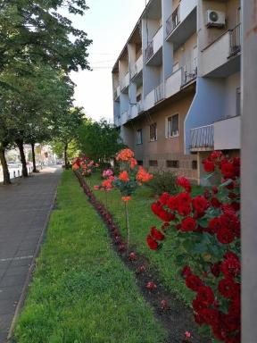 Apartman Borak - Housity