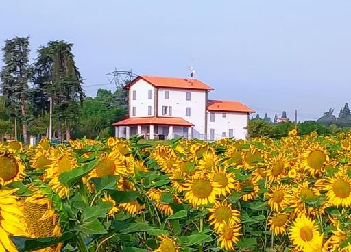 La collinetta B&B - Housity