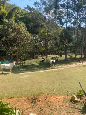 Cachoeira da Gomeira Hospedaria Camping - Housity