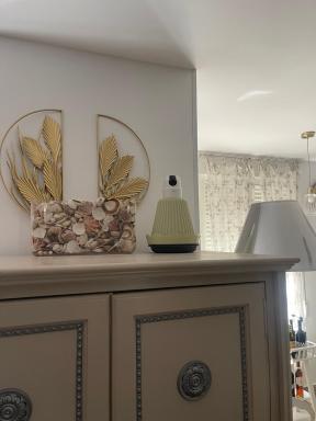Comfortable Carolina en Alicante - Housity