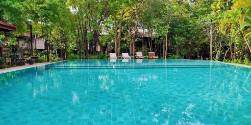 Palm Village Resort & Spa - Housity