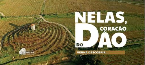 O Cantinho da Penetra AL - Housity