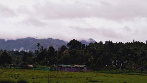 Jungleview Mudumalai - Housity