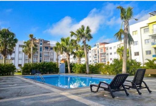 Luxury real palm - Housity