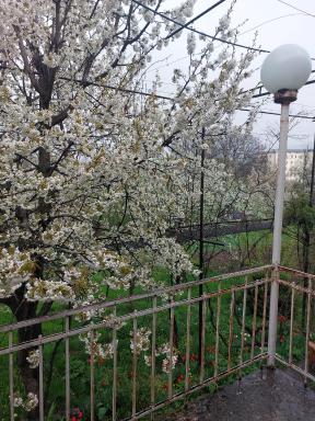 Your House In Adigeni - Housity