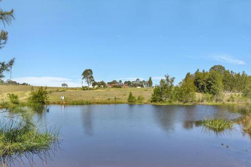 Noble Willow Studio Lovedale. A Cosy Unique Wine Country Refuge - Housity