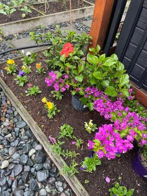 Garden home in Victoria - Housity