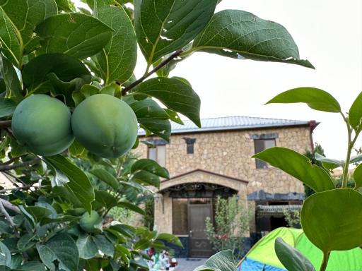 Green Garden Guest House - Housity