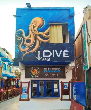 Dahab House Octopus apartment - Housity