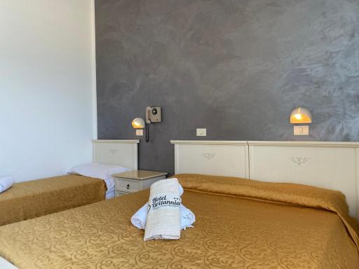 Hotel Britannia - Housity