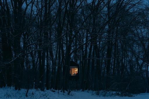 KeepCalm Treehouse far from the civilization - Housity