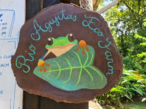 Rio Agujitas Eco jungle - Island and Corcovado tours - Housity