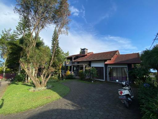 Chintya Warehouse - Housity