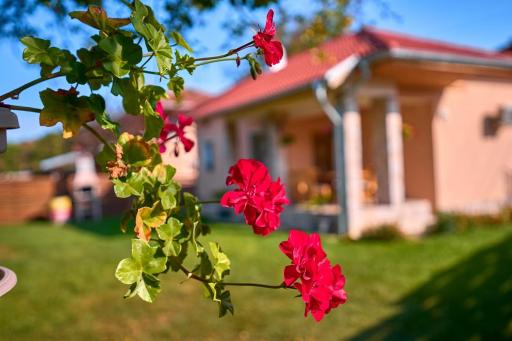 Villa Simida - Housity