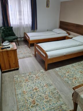 Pensiunea Clasic - Housity