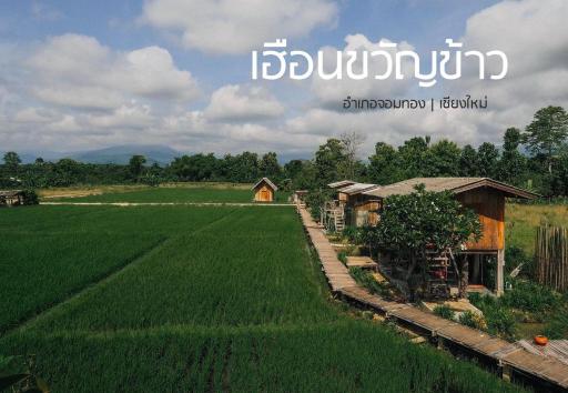 hueankwankao เฮือนขวัญข้าว - Housity