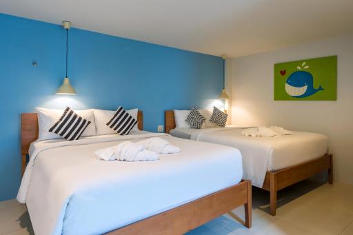 Tiya House Rooms & Cafe - Housity