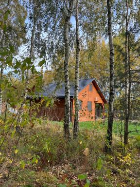 DOMEK LETNISKOWY POD BRZOZAMI na Roztoczu wśród lasów, Zamość, Krasnobród, Zwierzyniec - Housity
