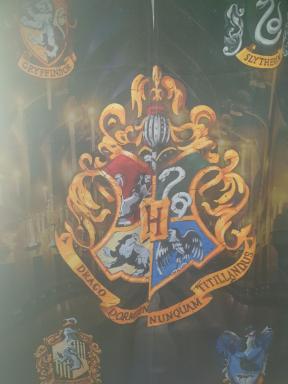 Harry Potter theme Double room in shared house - Housity