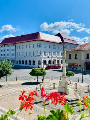 Hotel Ďumbier - Housity