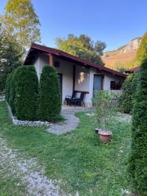 Studiouri Valisoara - Housity