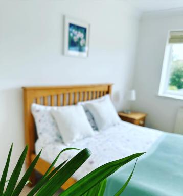 Immaculate and Quiet Double Room - Great for Business and Travel Guests - Housity