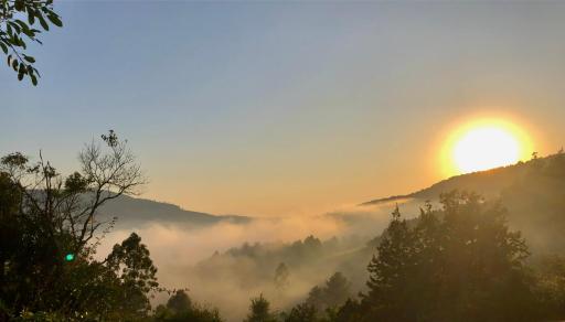 Bezalel's Rest - Housity