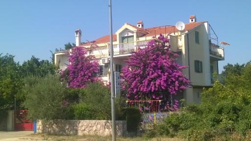 Guest House Neda - Housity