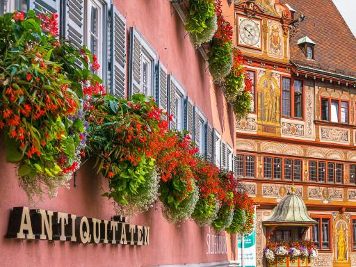 City Apartment Tübingen-Lustnau - Housity