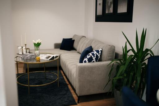 VIP apartments Bitola - Housity