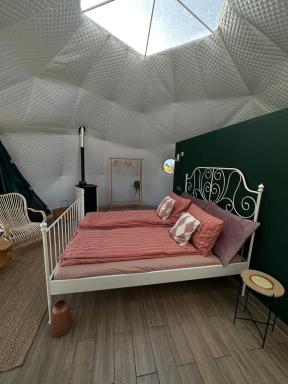 The Frog Glamping - Housity