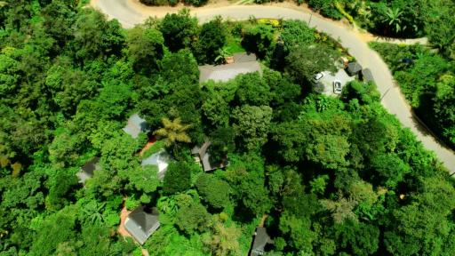 Misty Rain Estate - Housity