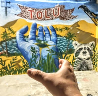 Oasis de Tolú - Housity