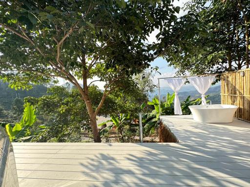 Arabica Lodge (อาราบิก้า ลอดจ์) - Housity