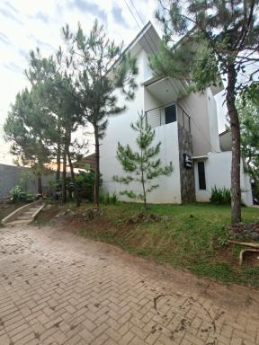 Alana Family Vila - Housity