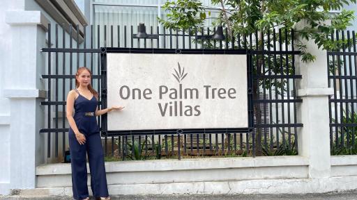 3N Palm Tree Villas - Housity