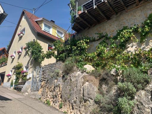 Burgweg Ferienwohnung - Housity