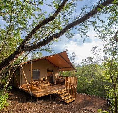 Campizo Glamping - Monterrey X NANTLI LIVING - Housity