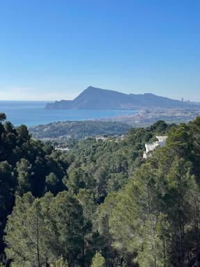 Altea Dreamview - Housity