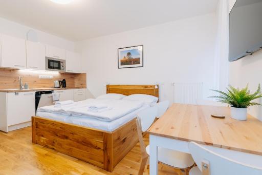 Horský apartmán Temari 10 Klínovec - Housity