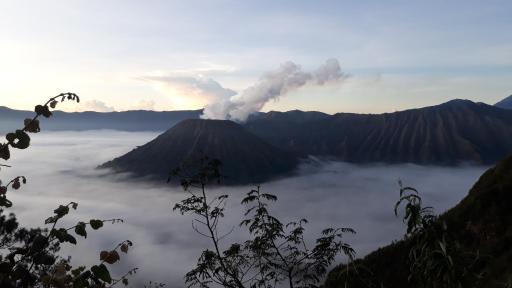 TENGGER HOMESTAY Bromo - Housity