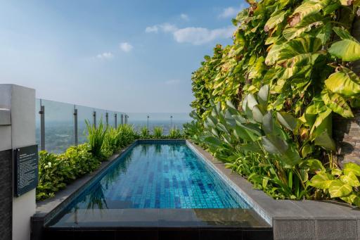 Alila Solo - Housity