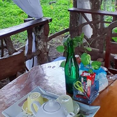 Dumaguete Treehouse - Housity