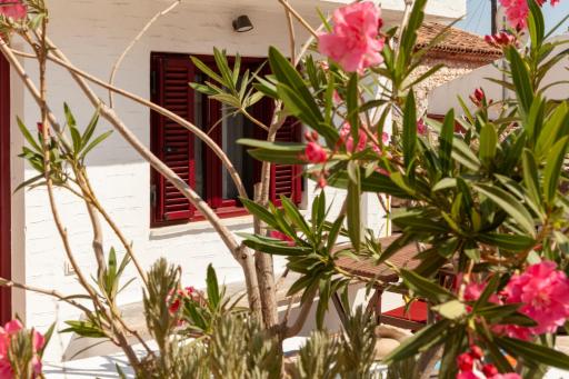 Elina's house - Housity