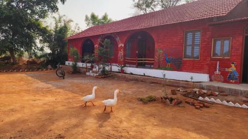 Green Nature View - Housity