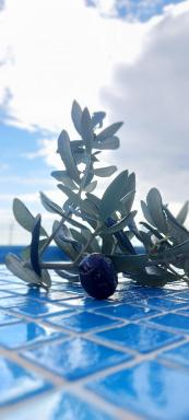 Boutique Home Saltaragazza - Housity