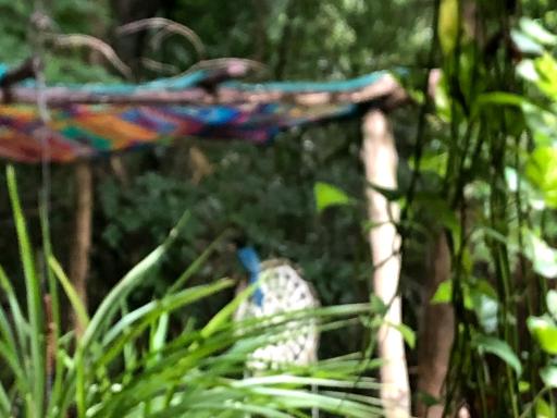 Casa Tzalam Tulum selva - Housity
