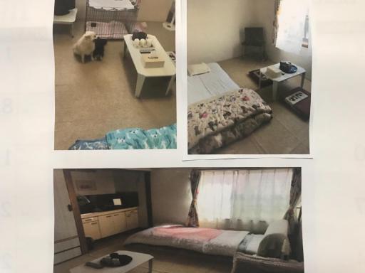 STAY Akeboshi Museum / Vacation STAY 4676 - Housity